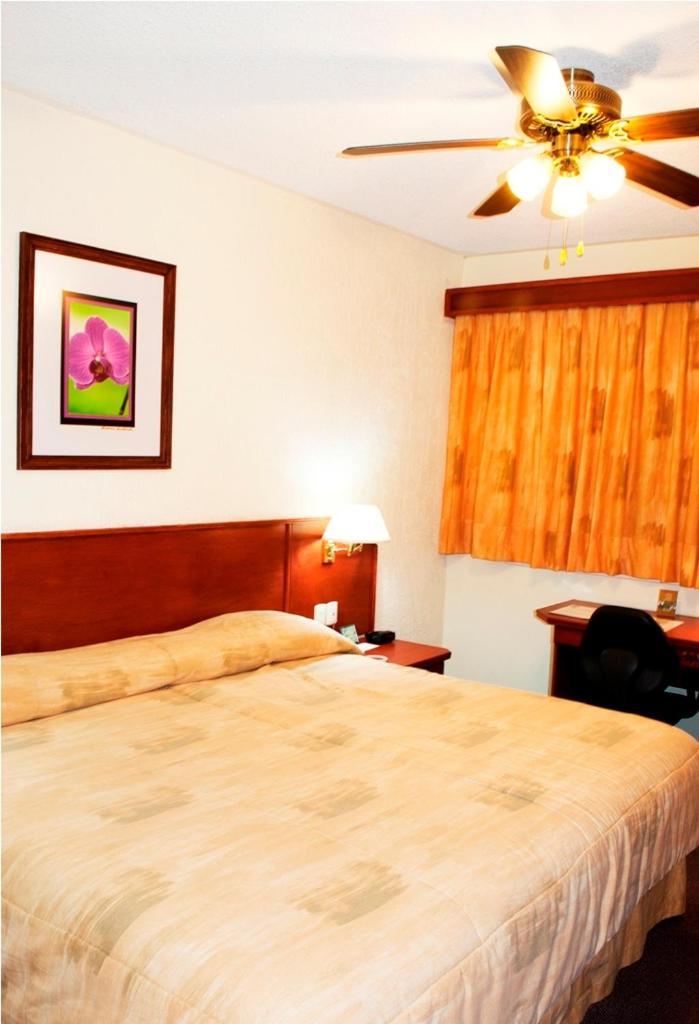 Hotel Marcella Clase Ejecutiva Morelia Exteriér fotografie